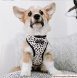 Cocopup London Monochrome Spots Adjustable Neck Harness Hot on Sale