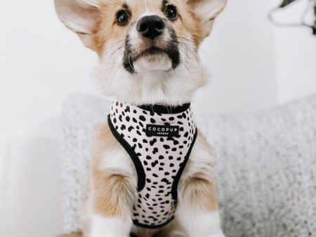 Cocopup London Monochrome Spots Adjustable Neck Harness Hot on Sale