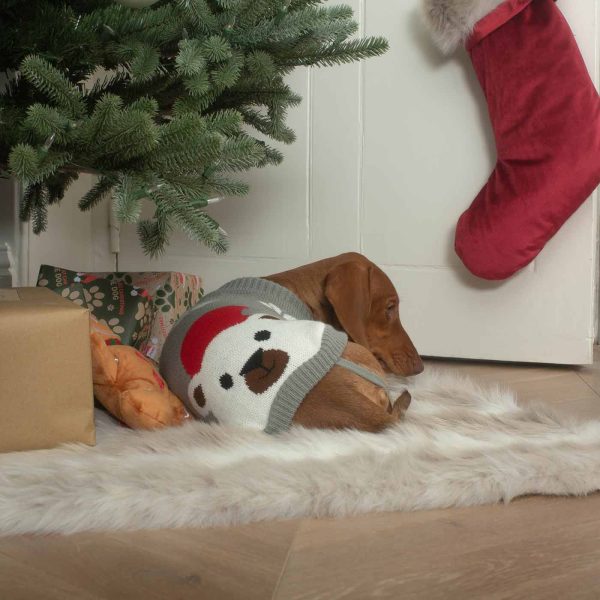 Christmas Polar Bear Cosy Fit Dog Jumper Cheap