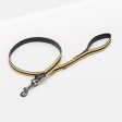 Joules Coastal Yellow & Navy Dog Lead Online Hot Sale