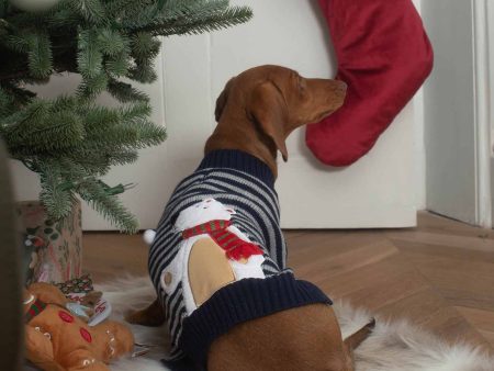 Stripey Polar Brrr Dog Jumper Hot on Sale