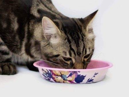 Joules Cambridge Floral Cat Bowl For Sale