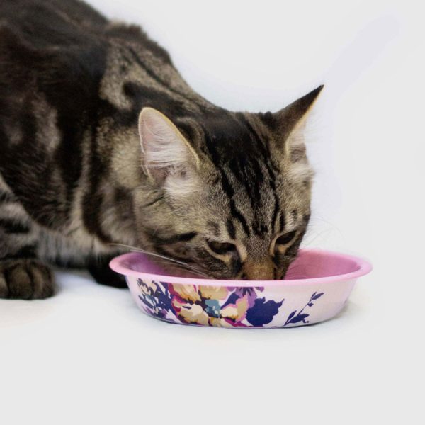 Joules Cambridge Floral Cat Bowl For Sale