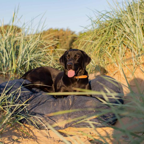 Bamboo Drying Cushion Cover in Navy by Lords & Labradors Cheap