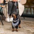 Hugo & Hudson Navy Herringbone Dog Harness For Discount