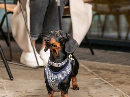 Hugo & Hudson Navy Herringbone Dog Harness For Discount