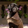 Bamboo Drying Coat in Mole by Lords & Labradors Online