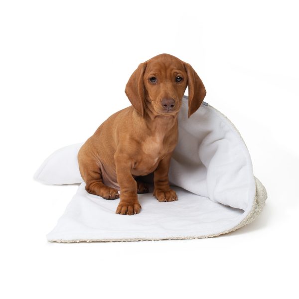 Dog & Puppy Blanket in Bouclé by Lords & Labradors Cheap