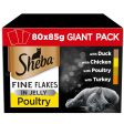 Sheba Fine Flakes Cat Pouches Poultry Collection in Jelly Giant Pack (80x85g) Online