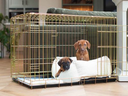 Gold Dog Crate with Cosy & Calming Puppy Crate Bed in Ivory Bouclé by Lords & Labradors Cheap