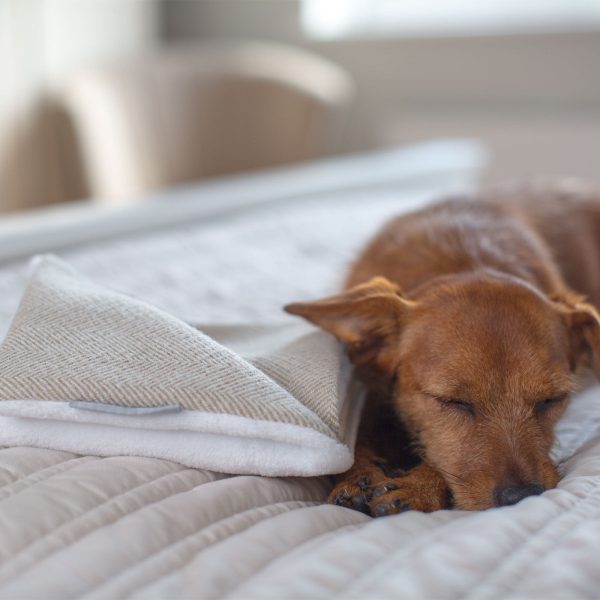 Puppy Scent Blanket in Herringbone Tweed by Lords & Labradors Supply