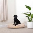 Dog Cushion With Removable Cover in Rhino Tough Sand Faux Leather by Lords & Labradors on Sale