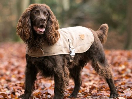 Hugo & Hudson Checked Tweed Jacket Fashion