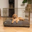 Gold Dog Crate with Cushion in Bouclé by Lords & Labradors Online now