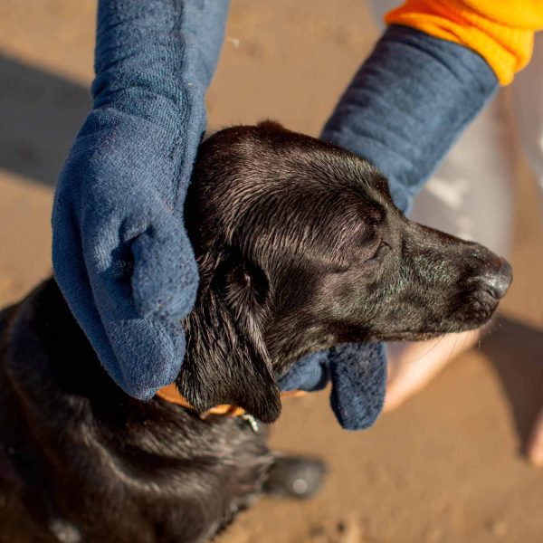 Bamboo Drying Mitts in Navy by Lords & Labradors For Sale