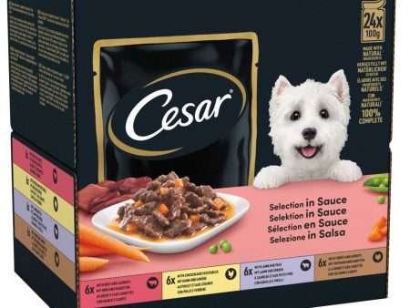 Cesar Deliciously Fresh Favourites in Sauce Adult Dog Food Pouches (24x100g) Online Sale