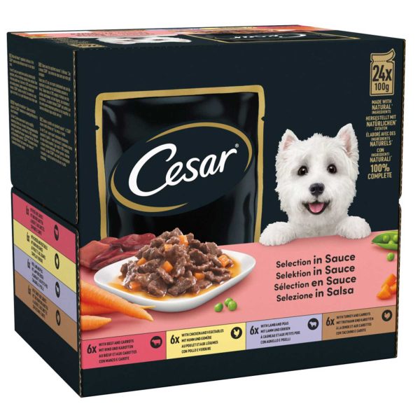 Cesar Deliciously Fresh Favourites in Sauce Adult Dog Food Pouches (24x100g) Online Sale