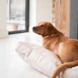 Dog Cushion With Removable Cover in Rhino Tough Sand Faux Leather by Lords & Labradors on Sale