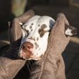 Bamboo Drying Mitts in Mole by Lords & Labradors Online