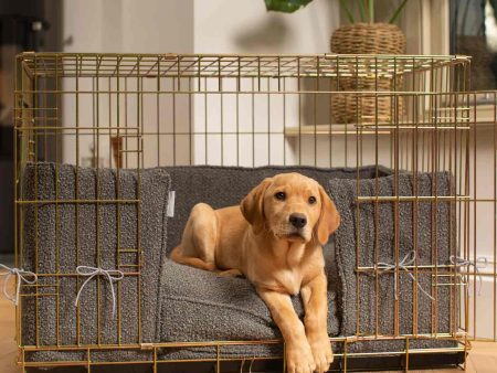 Gold Dog Crate with Cushion & Bumper in Granite Bouclé by Lords & Labradors For Discount