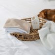 Puppy Scent Blanket in Savanna Oatmeal by Lords & Labradors on Sale