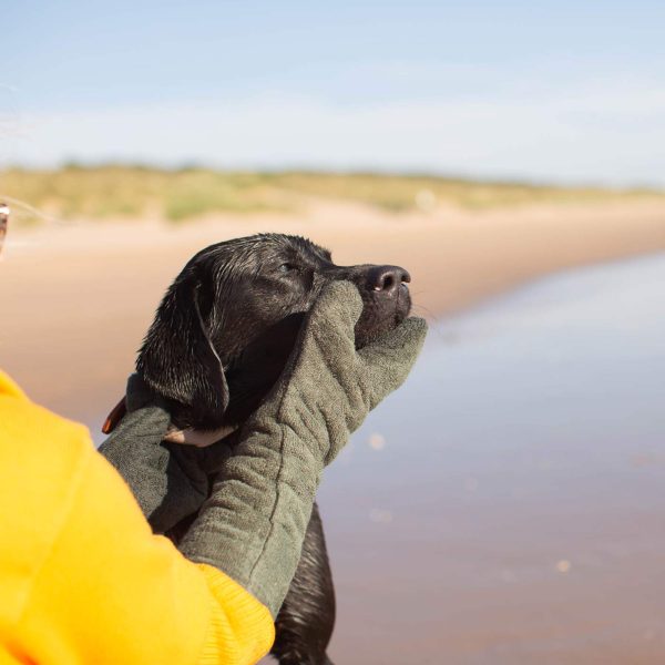 Bamboo Drying Mitts in Fir by Lords & Labradors For Cheap