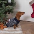 Stripey Polar Brrr Dog Jumper Hot on Sale